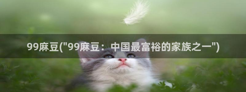 欧美专区麻豆：99麻豆(\