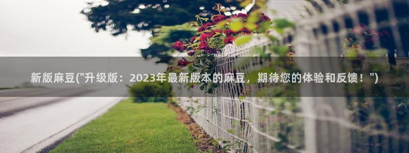 91麻豆国产专区在线观看