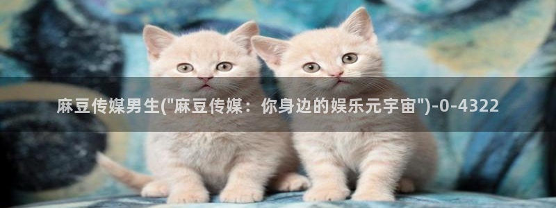 麻豆全集：麻豆传媒男生(\