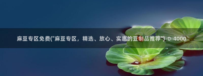 91麻豆国产专区