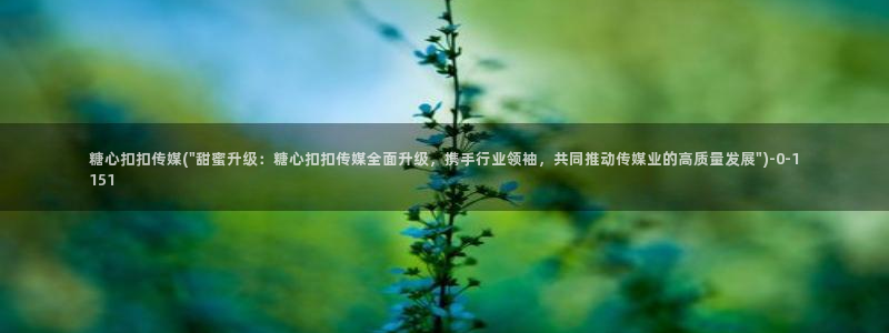 糖心vlog下载心糖