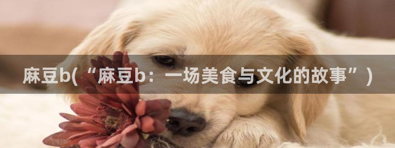 sepapa麻豆专区：麻豆b(“麻豆b：一场美食与文化的故事