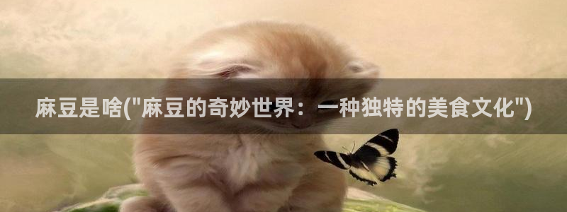 91麻豆专区：麻豆是啥(\