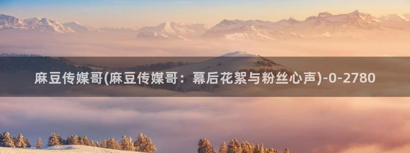 91麻豆专区：麻豆传媒哥(麻豆传媒哥：幕后花絮与粉丝心声)