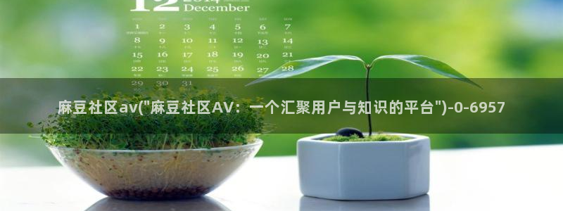 www.麻豆精品：麻豆社区av(\