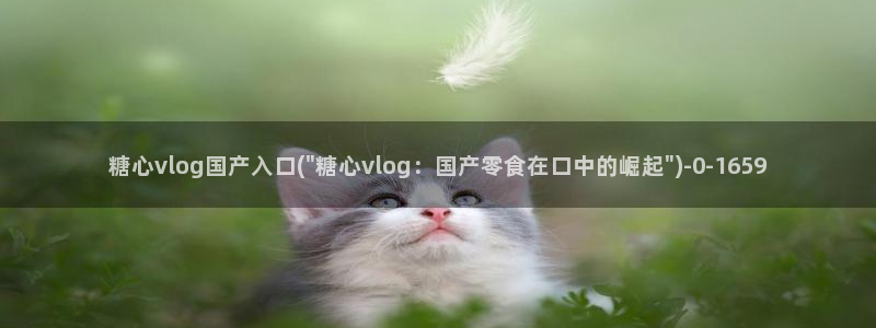 糖心深夜释放自己vlog新版本
