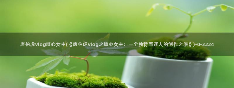 糖心vlog视频app
