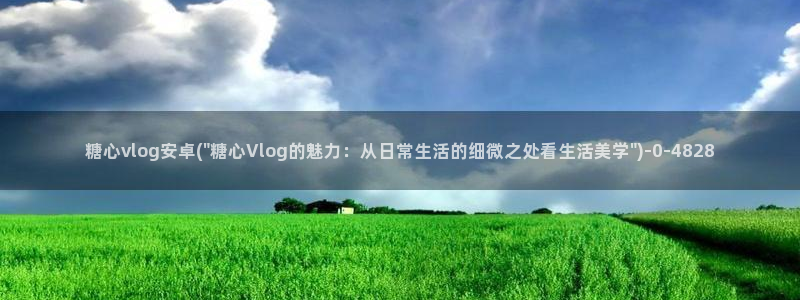 糖心的vlog日常