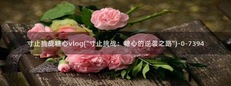 51糖心vlog破解版