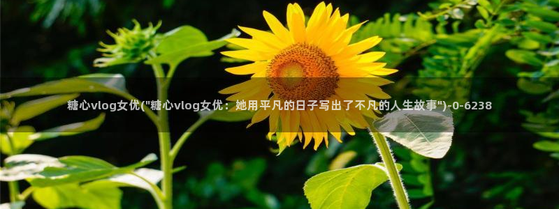 vlog糖心在线观看