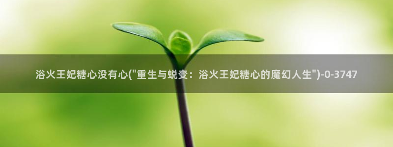 狐不妖糖心vlog
