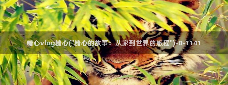 糖心视频vlog娜娜