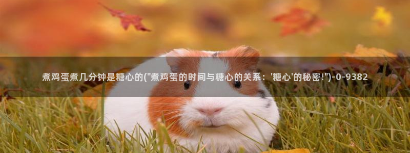 鸡教练vlog糖心