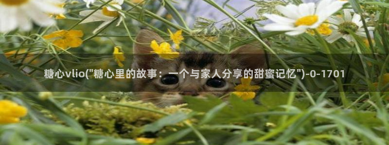 糖心vlog演员表
