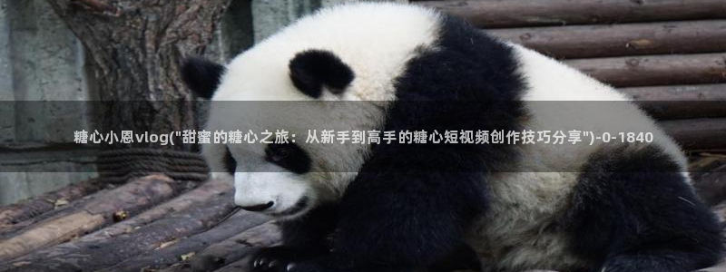 糖心小视频